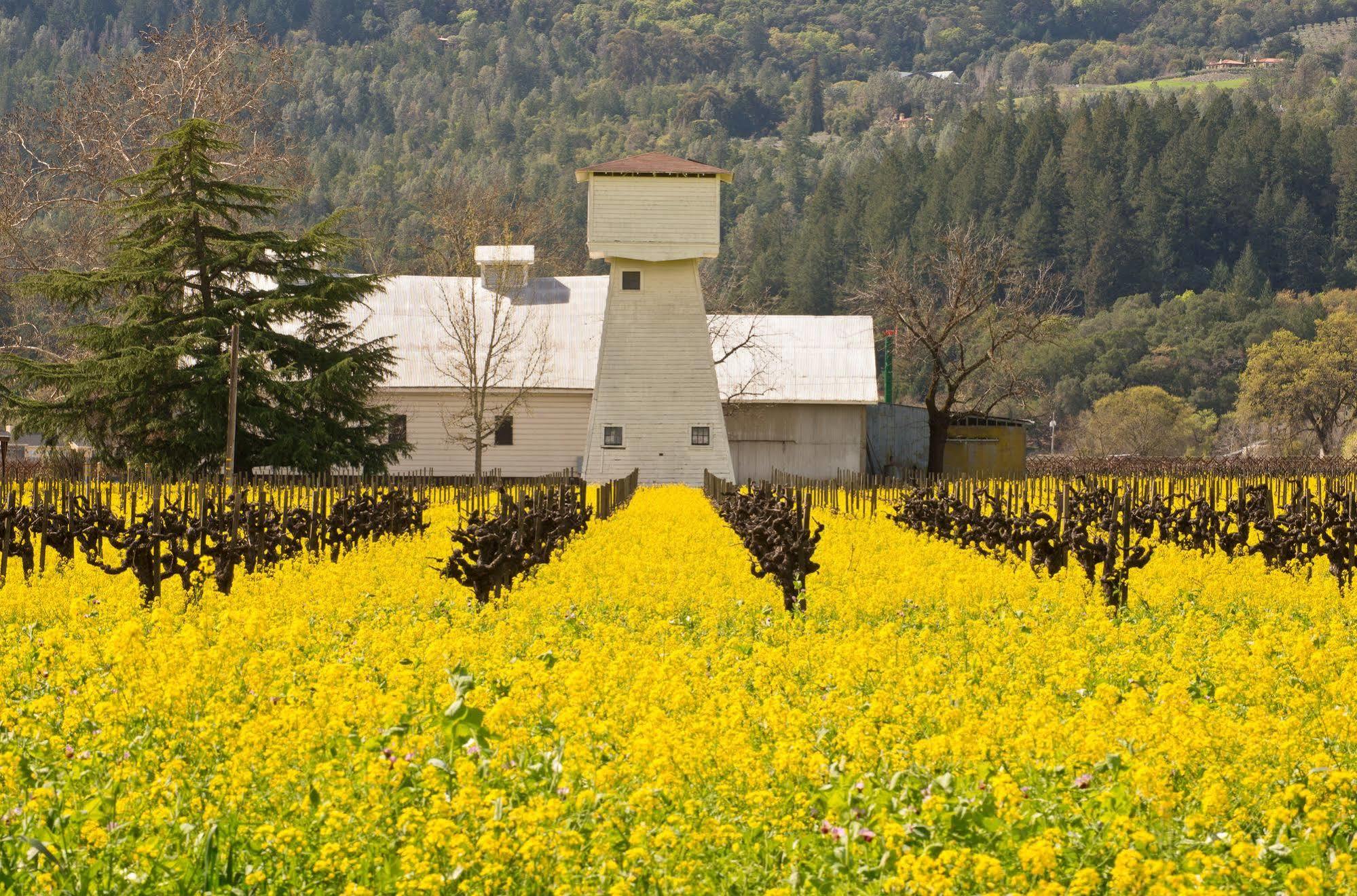 Shady Oaks Country Inn Сент-Хелина Экстерьер фото